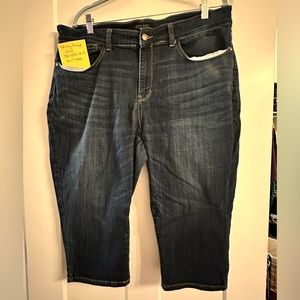 Judy Blue - Skinny Fit Capri (20W & 22W) - JB82291DK-PL